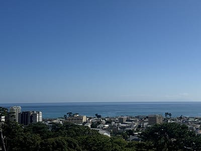 �����̐_�lDX