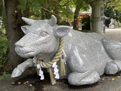 �����̐_�lDX