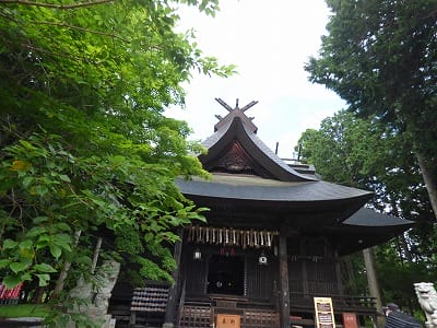 �����̐_�lDX