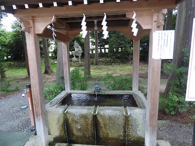 �����̐_�lDX