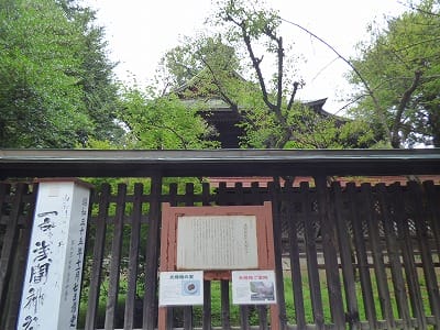 �����̐_�lDX