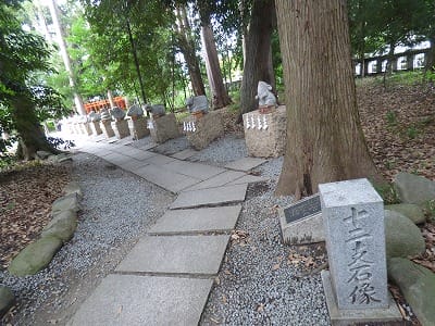 �����̐_�lDX