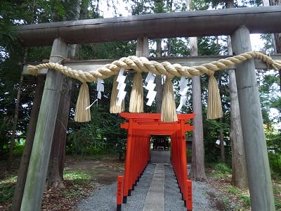 �����̐_�lDX