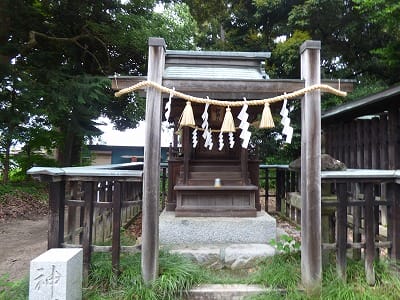 �����̐_�lDX