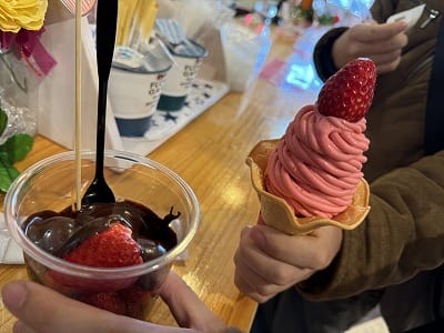 �����̐_�lDX