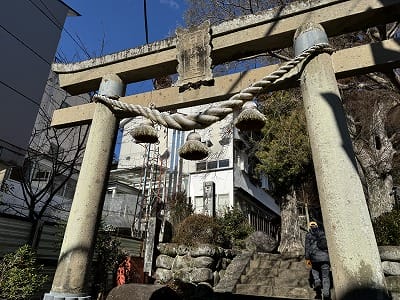 �����̐_�lDX