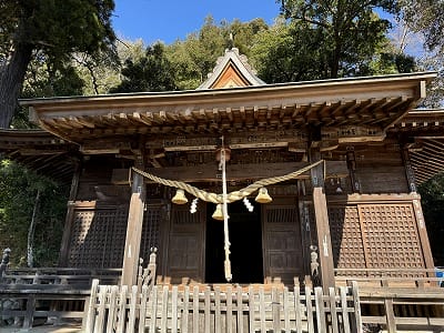 �����̐_�lDX