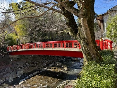 �����̐_�lDX