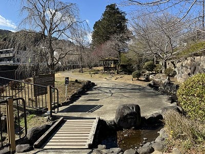 �����̐_�lDX