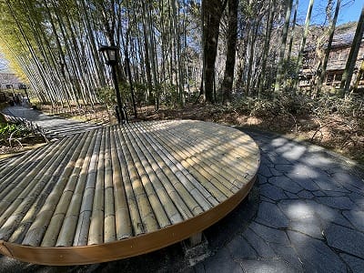 �����̐_�lDX