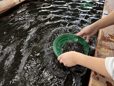 �����̐_�lDX