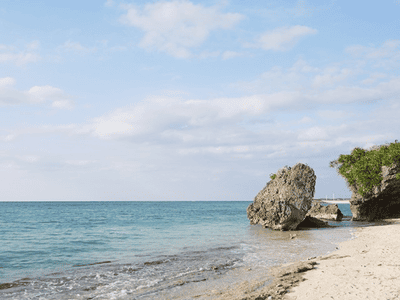 �����̐_�lDX