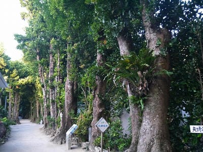 �����̐_�lDX