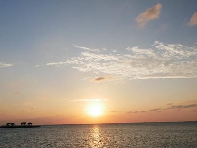 �����̐_�lDX