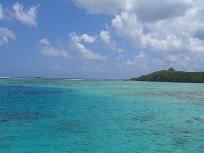 �����̐_�lDX