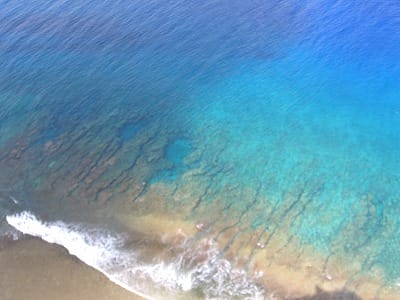 �����̐_�lDX