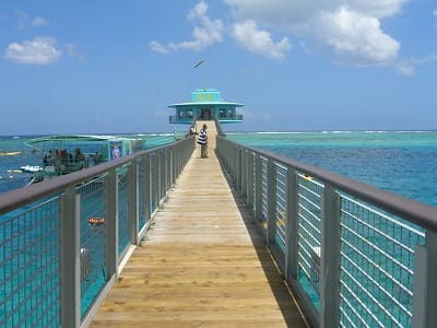 �����̐_�lDX