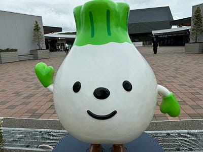 �����̐_�lDX