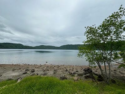 �����̐_�lDX