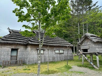 �����̐_�lDX