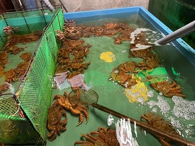 �����̐_�lDX