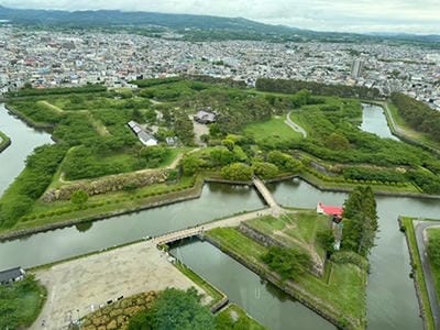 �����̐_�lDX