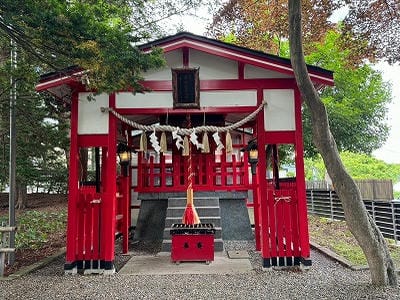 �����̐_�lDX