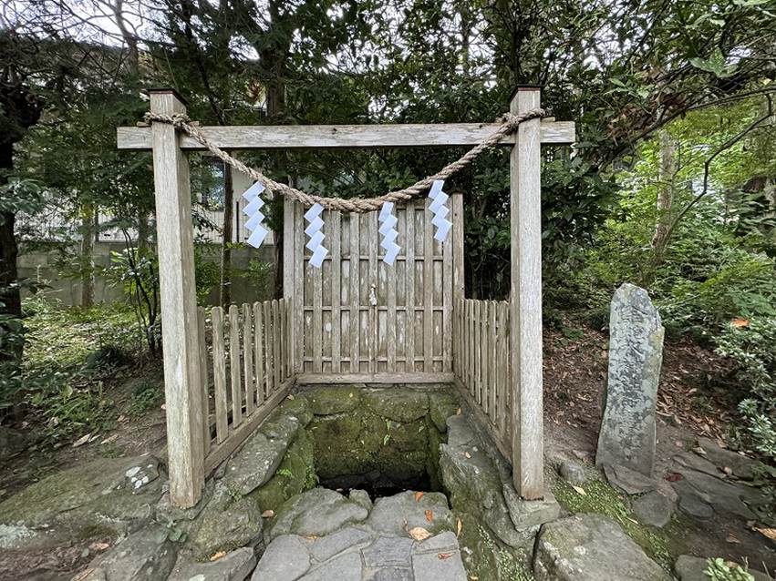 �����̐_�lDX