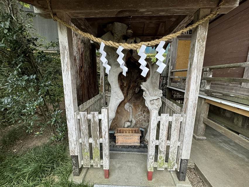 �����̐_�lDX