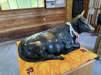 �����̐_�lDX