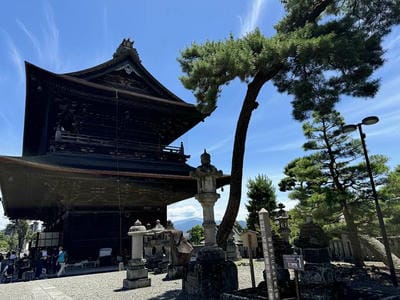 �����̐_�lDX