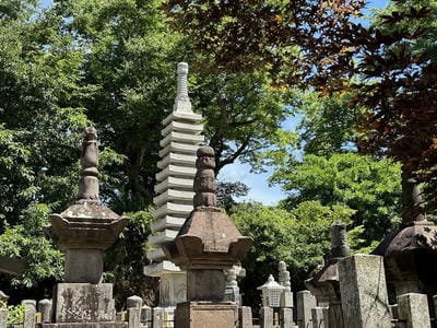 �����̐_�lDX