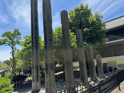 �����̐_�lDX