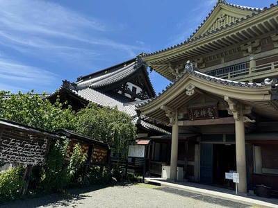 �����̐_�lDX