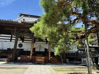 �����̐_�lDX