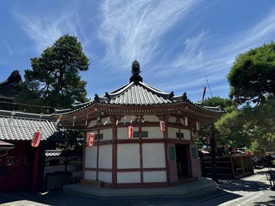 �����̐_�lDX