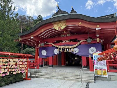 �����̐_�lDX