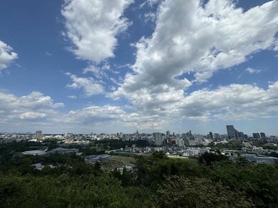 �����̐_�lDX