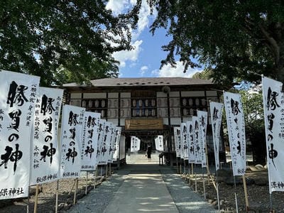 �����̐_�lDX