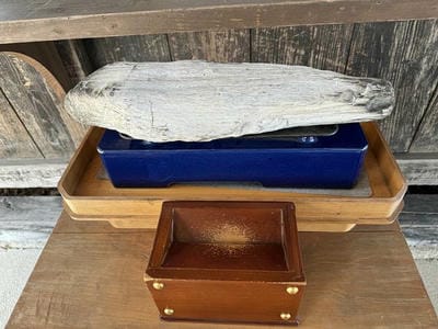 �����̐_�lDX