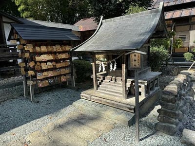 �����̐_�lDX