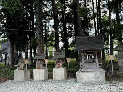 �����̐_�lDX