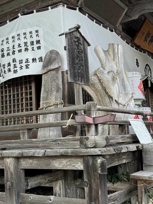 �����̐_�lDX