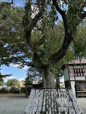 �����̐_�lDX