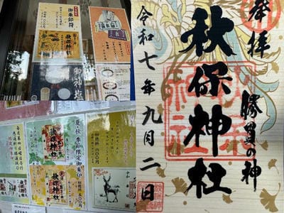 �����̐_�lDX