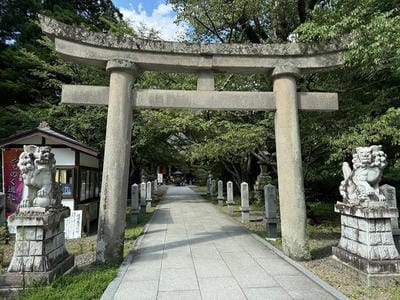 �����̐_�lDX