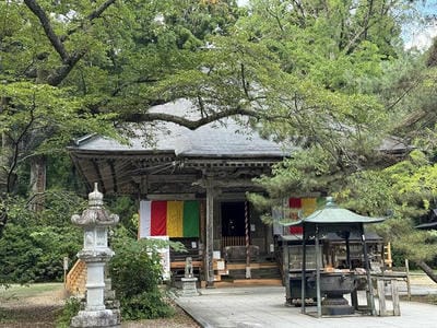 �����̐_�lDX