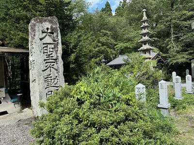 �����̐_�lDX