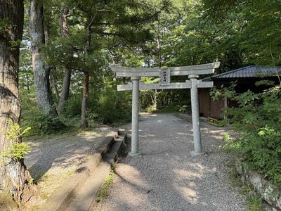 �����̐_�lDX