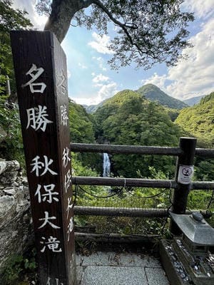 �����̐_�lDX